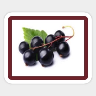 Blackcurrant Sticker